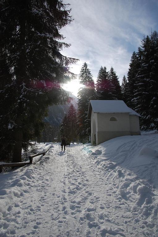 Appartamenti Welcome In Val Di Sole Casa Orti Ossana Eksteriør bilde